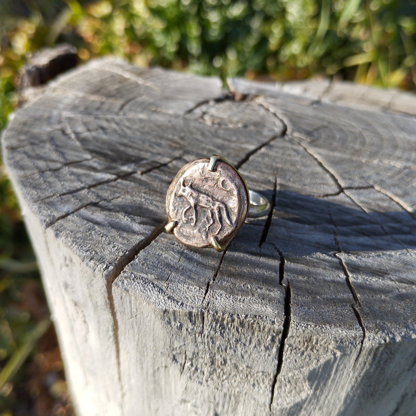 CANIS LUPUS Bague
